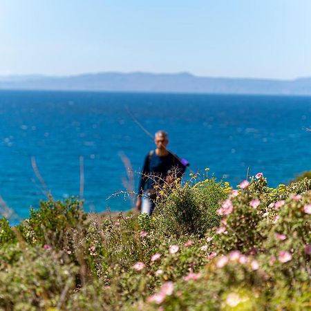 Cretan Life Holidays Ξενοδοχείο Χωραφάκια Εξωτερικό φωτογραφία